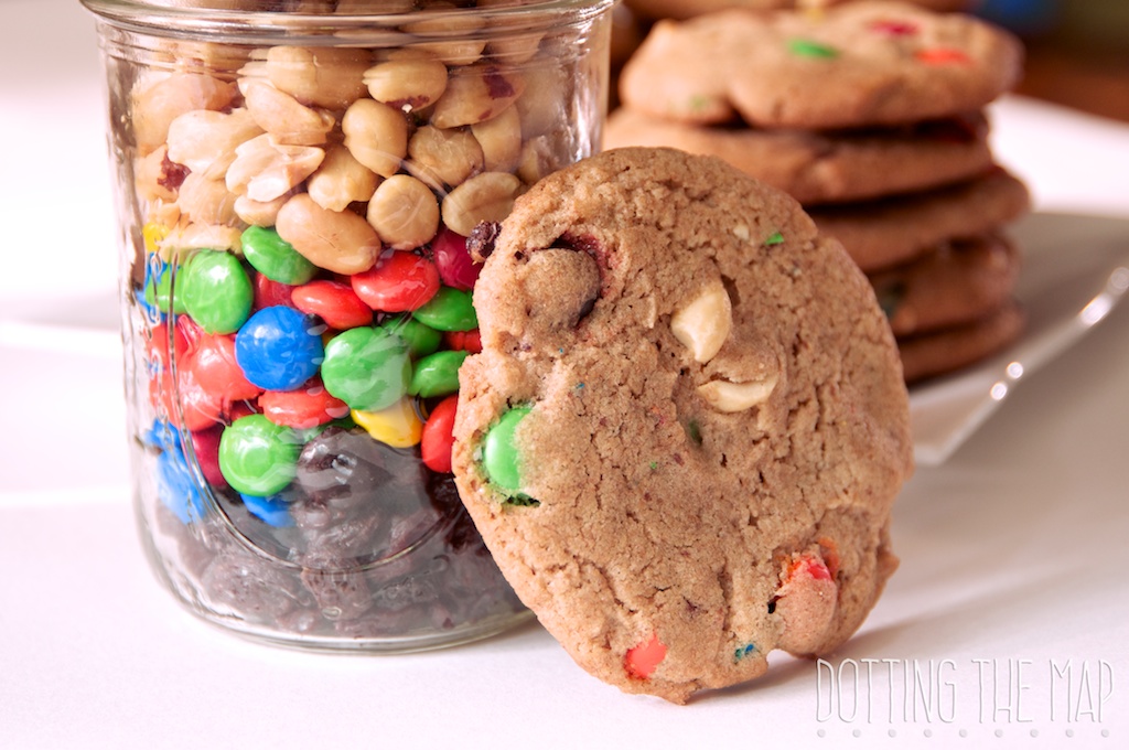 Trail Mix Peanut Butter Cookie