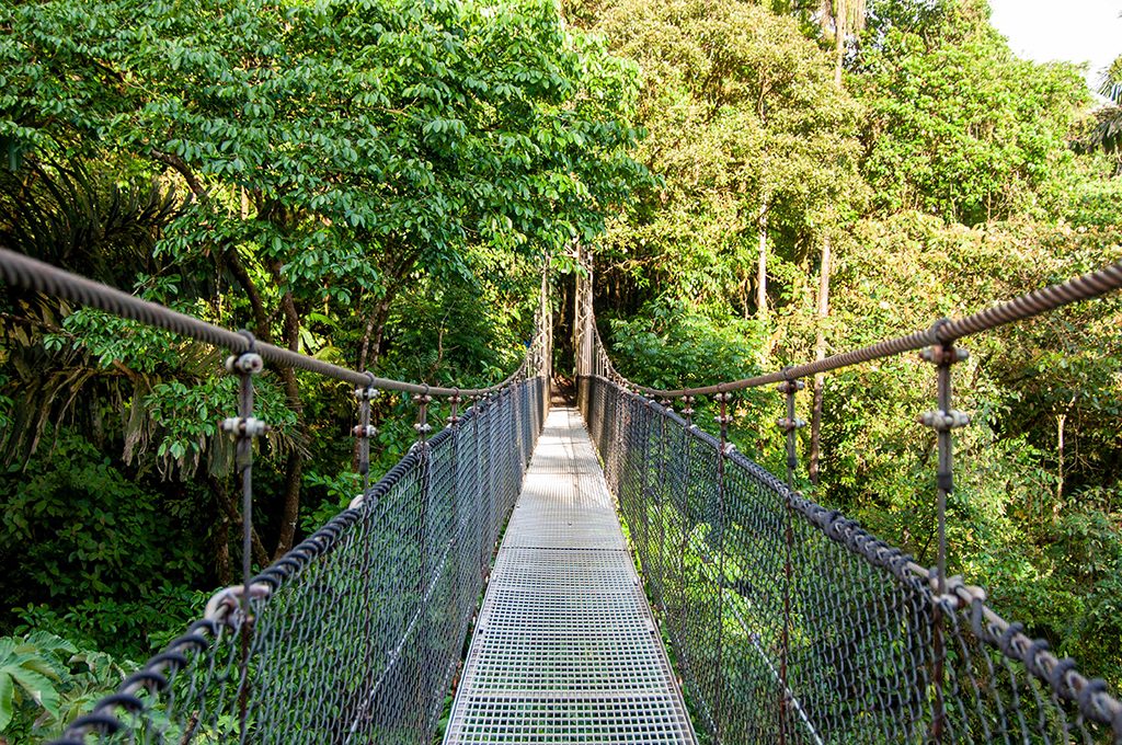 Mistico Arenal Hangning Bridge Park arenal activities