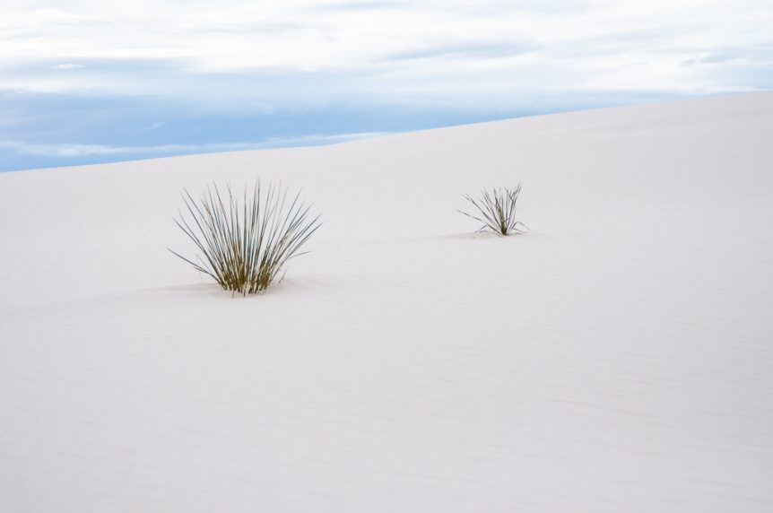 9 Things to Know Before Going to White Sands National Park with Your ...