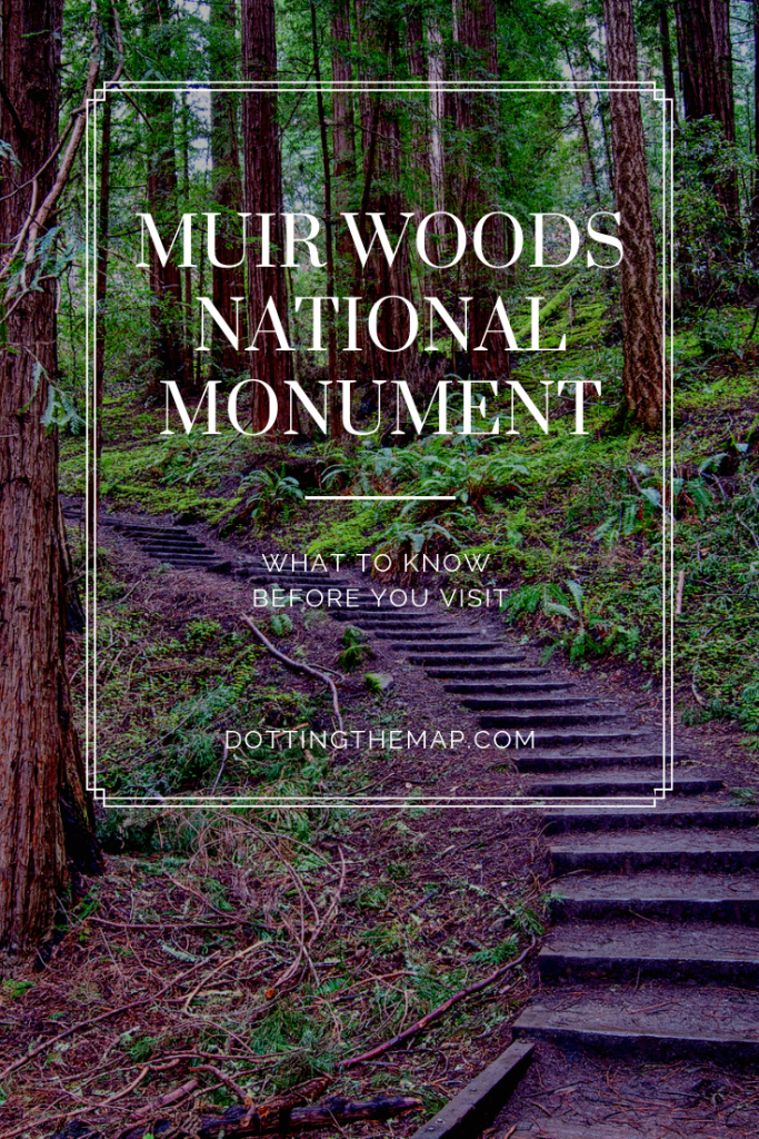 muir woods visit