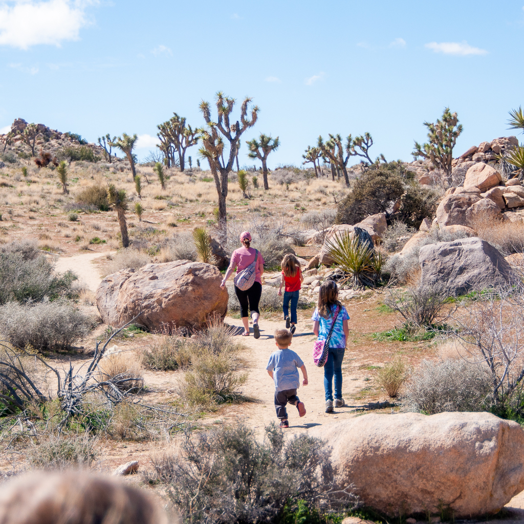 Hiking with kids in Joshua Tree National Park