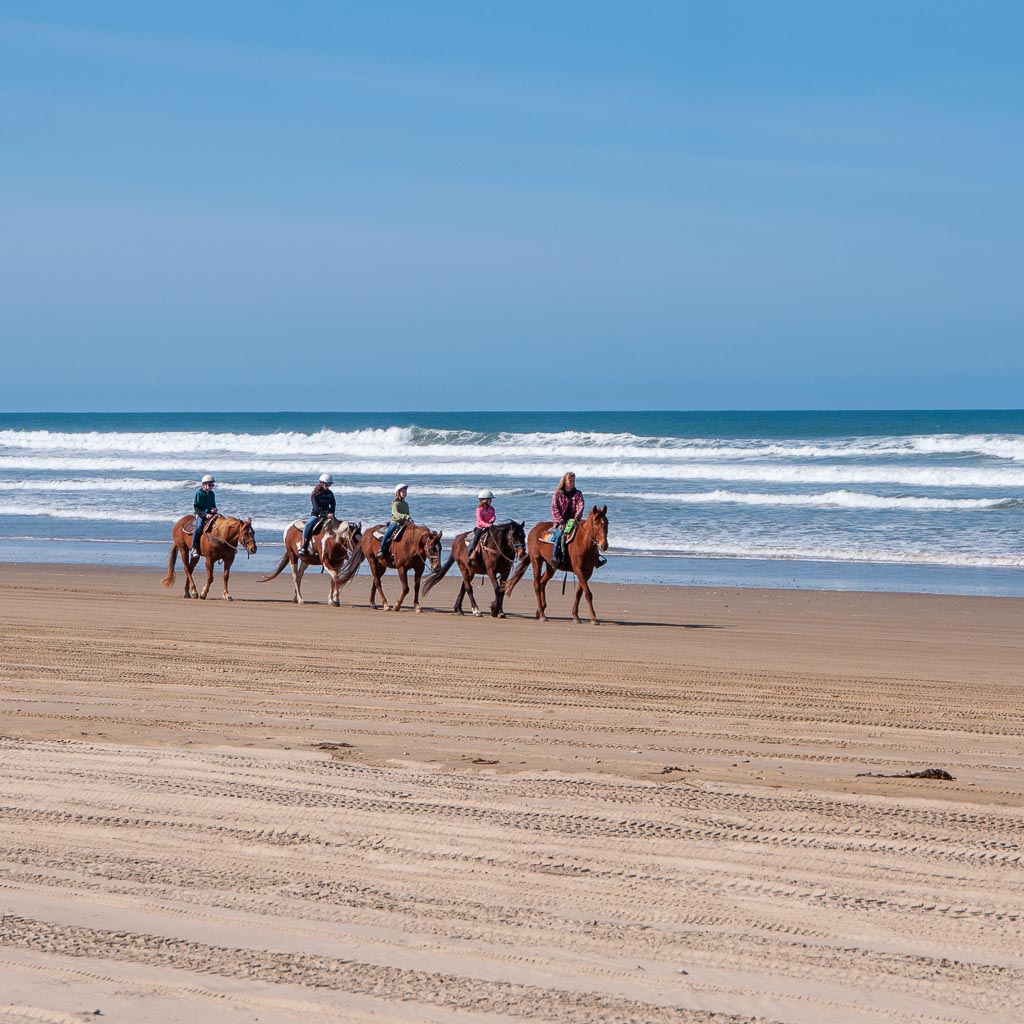 Pismo Beach Horseback Riding